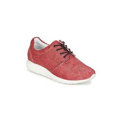 Buty Maruti WING. Czerwone trampki i tenisówki damskie marki Maruti, bez wzorów, bez zapięcia. Za 391,20 zł.