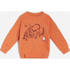 Bawełniana bluza z aplikacją ręcznikową -. Bluzy męskie Reserved, z aplikacjami, z bawełny, bez kołnierzyka, bez rękawów, bez kaptura. Za 45,99 zł.