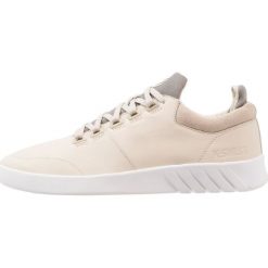 Tenisówki męskie: KSWISS AERO TRAINER Tenisówki i Trampki oyster gray/white
