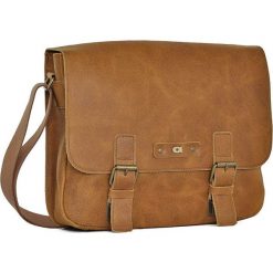 Skórzana listonoszka unisex Daag Woody 3 koniak. Torby męskie skórzane daag, bez wzorów, z poliesteru. Za 289,99 zł.