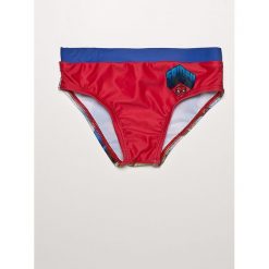 Blukids - Kąpielówki dziecięce Spiderman 104-128 cm. Szare kąpielówki chłopięce marki Blukids, z motywem z bajki, z dzianiny. Za 49,90 zł.