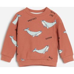 Bluza ze wzorem - Bordowy. Czerwone bluzy męskie Reserved, bez wzorów, bez kołnierzyka, bez rękawów, bez kaptura. Za 45,99 zł.