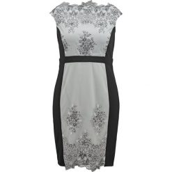 Sukienki hiszpanki: Little Mistress Curvy Sukienka koktajlowa cream/black