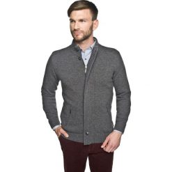 Golfy męskie: sweter halifaxe stójka szary