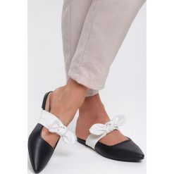 Czarne Klapki Flower Hoop. Czarne klapki damskie Renee, w paski, bez obcasa, na płaskiej podeszwie. Za 39,99 zł.
