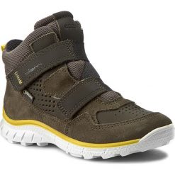 Trzewiki ECCO - Biom Trail Kids GORE-TEX 70277259675 Grape Leaf/Grape Leaf/Black. Zielone śniegowce chłopięce marki ecco, na rzepy, gore-tex. W wyprzedaży za 289,00 zł.