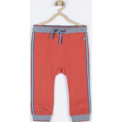 Coccodrillo - Spodnie dziecięce 68-86 cm. Pomarańczowe spodnie chłopięce marki COCCODRILLO, bez wzorów, z bawełny, sportowe. W wyprzedaży za 34,90 zł.