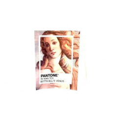 T-shirt : "Venus Botticelli ". Białe t-shirty męskie Life is art, xxl, z nadrukiem, klasyczne, z klasycznym kołnierzykiem. Za 120,00 zł.
