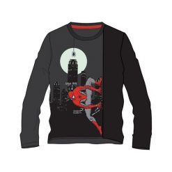 Disney By Arnetta Koszulka Chłopięca Spiderman 98 Szary. Szare t-shirty chłopięce Disney By Arnetta, z motywem z bajki, z długim rękawem. Za 45,00 zł.