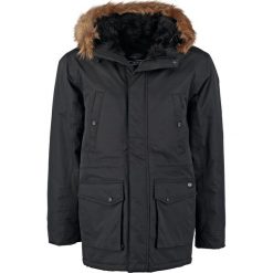 Kurtki męskie: Dickies CURTIS Kurtka zimowa black