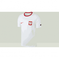 T-shirty męskie: Koszulka Nike Polska Crest (888354-100)