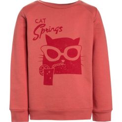 La Queue du Chat Bluza coral. Pomarańczowe bluzy chłopięce marki La Queue du Chat, z bawełny. Za 179,00 zł.
