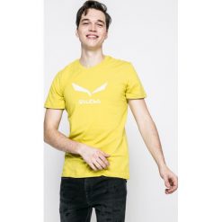 T-shirty męskie: Salewa – T-shirt