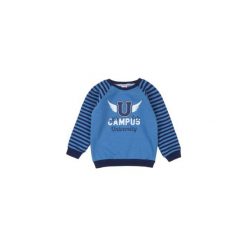Bluza niemowlęca chłopięca. Szare bluzy niemowlęce TXM, bez wzorów, bez rękawów, bez kaptura. Za 19,99 zł.