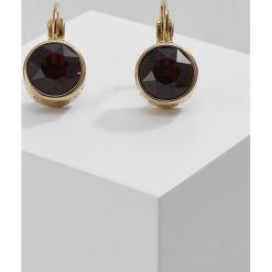 Kolczyki damskie: Dyrberg/Kern LOUISE Kolczyki goldcoloured