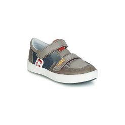 Buty Dziecko GBB VARNO. Szare trampki chłopięce GBB, bez wzorów, bez zapięcia. Za 263,20 zł.