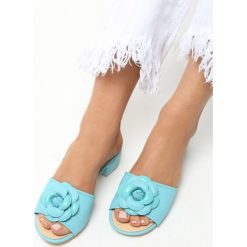 Niebieskie Klapki Flourish. Niebieskie klapki damskie Born2be, w paski, na niskim obcasie, na obcasie. Za 29,99 zł.