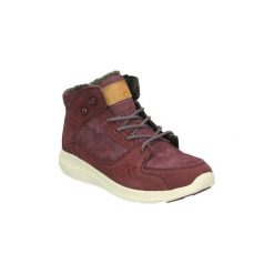 Botki damskie: Botki Kangaroos K831-15