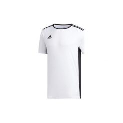 Koszulka krótki rękaw do piłki nożnej Entrada. Koszulki męskie Adidas, s, bez wzorów, bez kołnierzyka, z krótkim rękawem, krótkie. Za 49,99 zł.