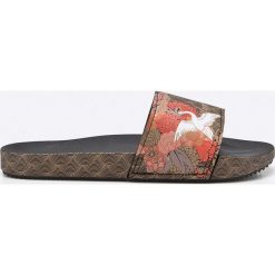 Chodaki damskie: Zaxy – Klapki