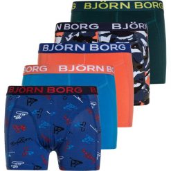 Bielizna dziewczęca: Björn Borg SNOWBOARD SHADE FIELD 5 PACK Panty multicolor