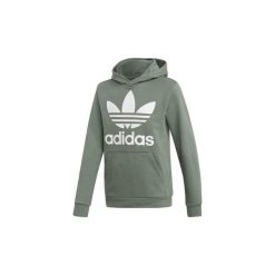 Bluzy dresowe Dziecko adidas Bluza z kapturem Trefoil. Zielone bluzy chłopięce rozpinane marki Adidas, z dresówki, z kapturem. Za 229,00 zł.