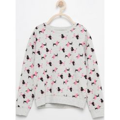 Bluzy dziewczęce: Bluza z nadrukiem pudli – Jasny szar