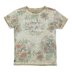 T-shirty chłopięce z nadrukiem: Koszulka w kolorze beżowym