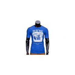 T-shirty męskie: T-SHIRT MĘSKI Z NADRUKIEM S816 – CHABROWY