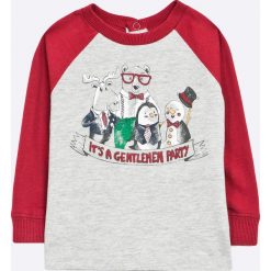 T-shirty chłopięce: Blukids – Longsleeve dziecięcy 68-98 cm