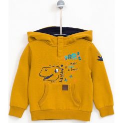 Lemon Explore - Bluza dziecięca 86-116 cm. Zielone bluzy chłopięce marki LEMON explore, z nadrukiem, z bawełny, bez rękawów, z kapturem. W wyprzedaży za 59,90 zł.
