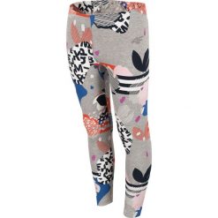 Legginsy dziewczęce (122-164) JLEG204 - multikolor. Szare legginsy dziewczęce 4F JUNIOR, bez wzorów, z bawełny. Za 49,99 zł.