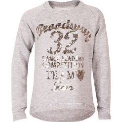 Bluza DEHA Szary. Szare bluzy dziewczęce marki Deha, z napisami. Za 96,00 zł.