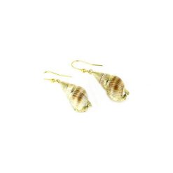Earrings Muszle Naturalne Złoto. Brązowe kolczyki damskie Brazi druse jewelry, złote. Za 110,00 zł.