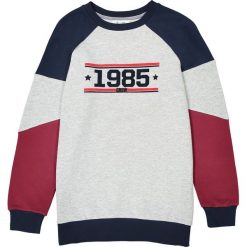 Bluza oversize styl sportowy 10-16 lat. Szare bluzy dziewczęce marki La Redoute Collections, z bawełny, z długim rękawem, długie. Za 96,98 zł.