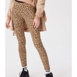 Legginsy w panterkę - Wielobarwn. Legginsy damskie Sinsay. W wyprzedaży za 19,99 zł.