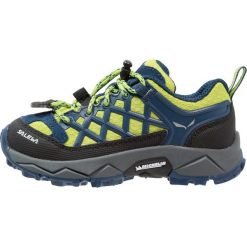 Buty sportowe męskie: Salewa WILDFIRE Obuwie hikingowe poseidon/cactus