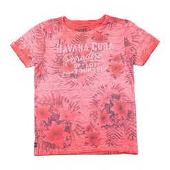 T-shirty chłopięce z nadrukiem: Koszulka w kolorze koralowym