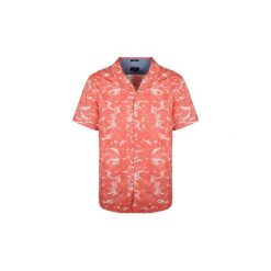 Koszule z krótkim rękawem Pepe jeans PM303136 / Grimes. Pomarańczowe koszule męskie Pepe Jeans, xl, bez wzorów, z jeansu, bez kołnierzyka, z krótkim rękawem. Za 159,00 zł.
