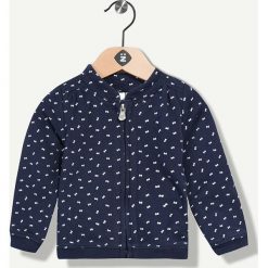 Bluzy niemowlęce: Bluza w kolorze granatowym
