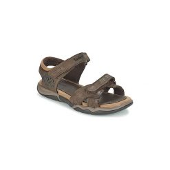 Buty dziewczęce: Sandały sportowe Dziecko Timberland OAK BLUFFS LEATHER 2STRAP