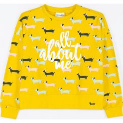 Coccodrillo - Bluza dziecięca 128-140 cm. Bluzy dziewczęce COCCODRILLO, z nadrukiem, z dzianiny, bez rękawów, bez kaptura. Za 75,90 zł.