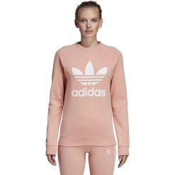 Bluza adidas TRF Crew (DV2627). Różowe bluzy damskie Adidas, m, bez wzorów, z bawełny, bez rękawów, bez kaptura. Za 199,99 zł.