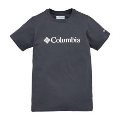 Koszulka młodzieżowa Columbia CSC Basic Logo 1877491054 - szary. Szara t-shirty chłopięce Columbia, bez wzorów, bez rękawów. Za 82,99 zł.