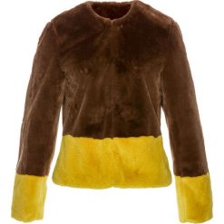 Kurtka ze sztucznego futerka bonprix brązowo-żółty. Pomarańczowe kurtki damskie bonprix, bez wzorów, bez kaptura. Za 139,99 zł.
