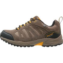 Buty trekkingowe męskie: HiTec ALTO II WP Obuwie hikingowe smokey brown/taupe/gold