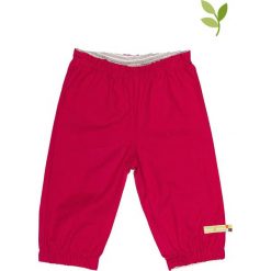Spodnie niemowlęce: Spodnie outdoorowe w kolorze jagodowym