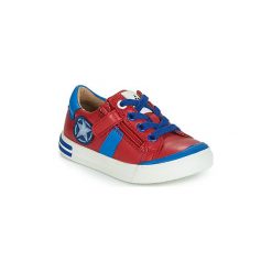 Buty Dziecko Acebo's TIMOTI. Czerwone trampki chłopięce marki Acebo's, bez wzorów, bez zapięcia. Za 409,00 zł.