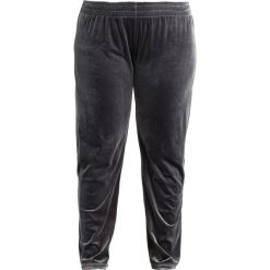Spodnie dresowe damskie: ADIA PANT Spodnie treningowe dark iron