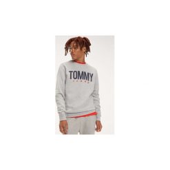 Bluzy Tommy Jeans DM0DM06291 ESSENTIAL LOGO C. Szare bluzy męskie Tommy Jeans, s, bez wzorów, z jeansu, bez kołnierzyka, bez rękawów, bez kaptura. Za 263,05 zł.